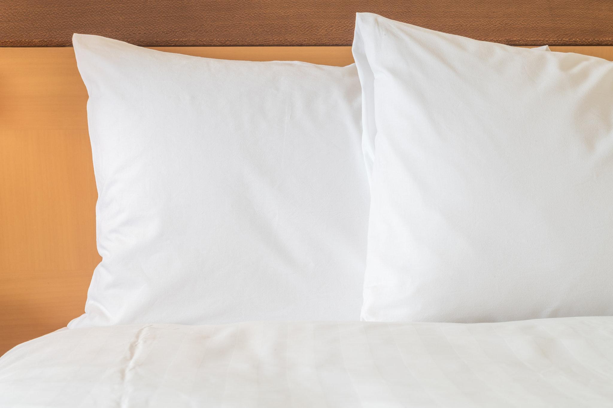 Doubletree By Hilton Charlotte Airport Hotell Eksteriør bilde